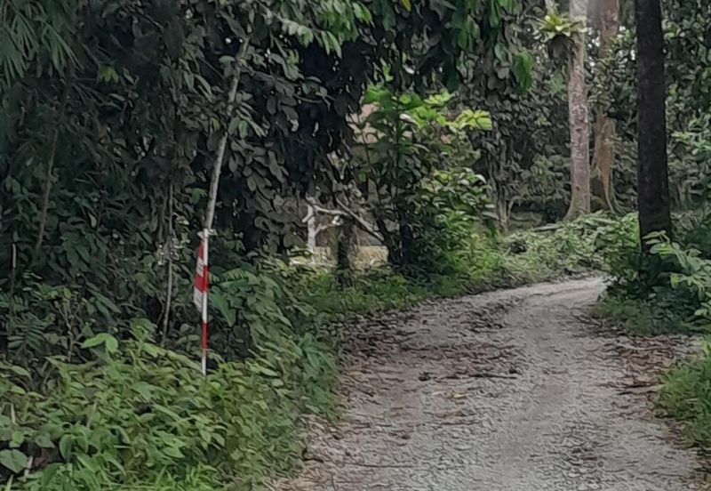 TANAH PERTANIAN UTUK DIJUAL DI BATANGKALI, RAWANG, SELANGOR