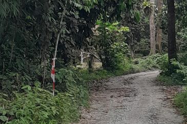 TANAH PERTANIAN UTUK DIJUAL DI BATANGKALI, RAWANG, SELANGOR