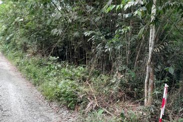 TANAH PERTANIAN UTUK DIJUAL DI BATANGKALI, RAWANG, SELANGOR