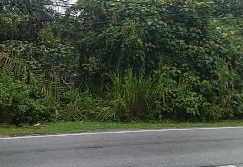 TANAH STATUS LOT KEDIAMAN (76 LOT BESERTA GERAN INDIVIDU) UNTUK DIJUAL DI KG MENDERANG, SUNGKAI, PERAK – LOKASI STRATEGIK !!!