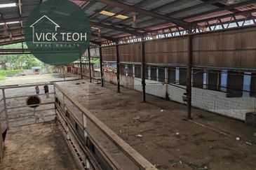 Kawasan Perusahaan Bebas Perai (I)