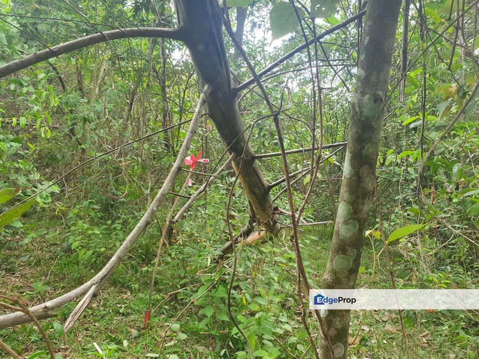 Cheap Residential Land for Sale @ Sungai Buah, Dengkil Sepang, Selangor, Dengkil