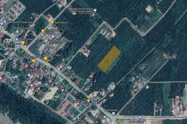 Tanah Ladang Kelapa Sawit Zoning Perumahan di Chuah, Port Dickson untuk dijual!