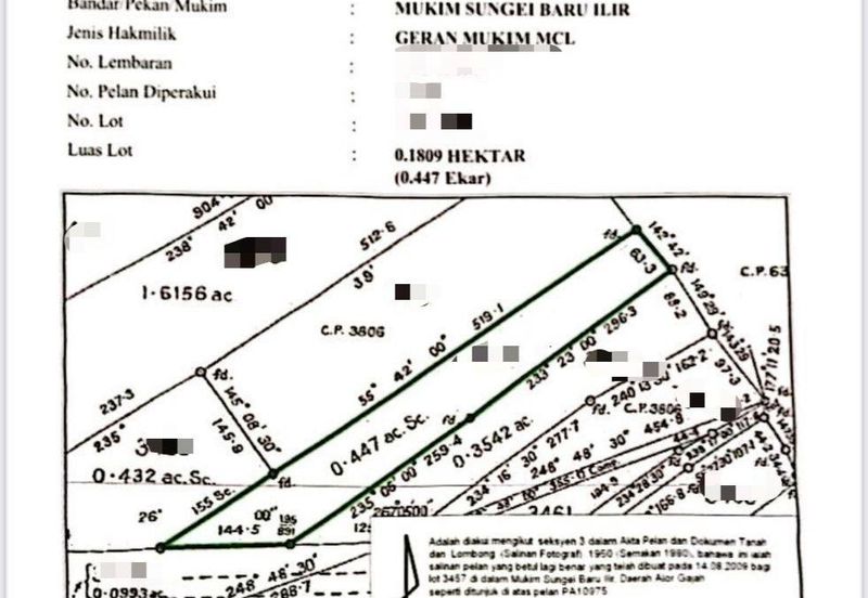 RUM AWAM KAMPUNG PULAU