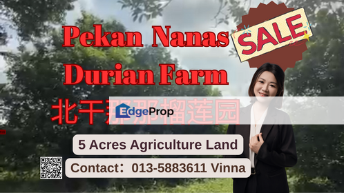 Parit Sikom, Pekan Nanas 甘榜老树榴莲园 , Johor, Pontian