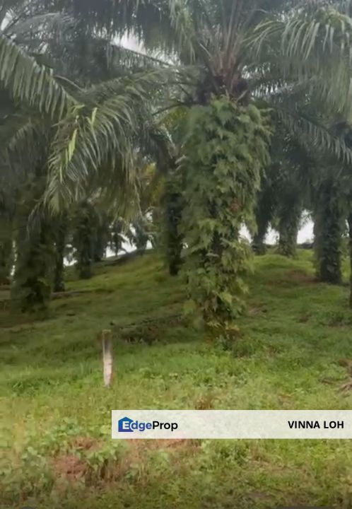 Setia Eco Garden Housing Land （Iskandar Area）, Johor, Gelang Patah