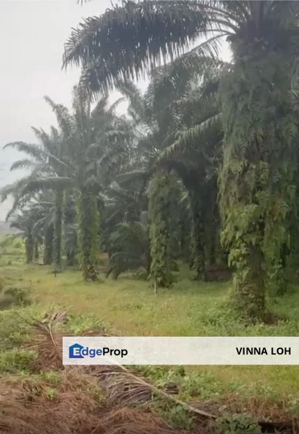 Setia Eco Garden Housing Land （Iskandar Area）, Johor, Gelang Patah