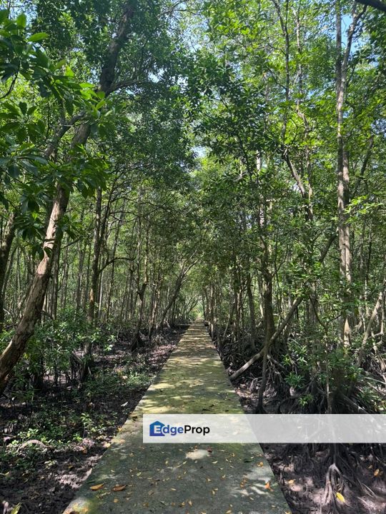 红树林旁唯一一片工业地🏭 适合生态学校、度假村 和 轻工业, Johor, Johor Bahru