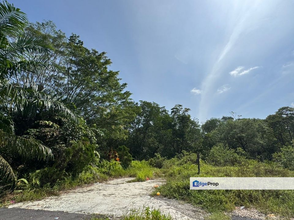 红树林旁唯一一片工业地🏭 适合生态学校、度假村 和 轻工业, Johor, Johor Bahru