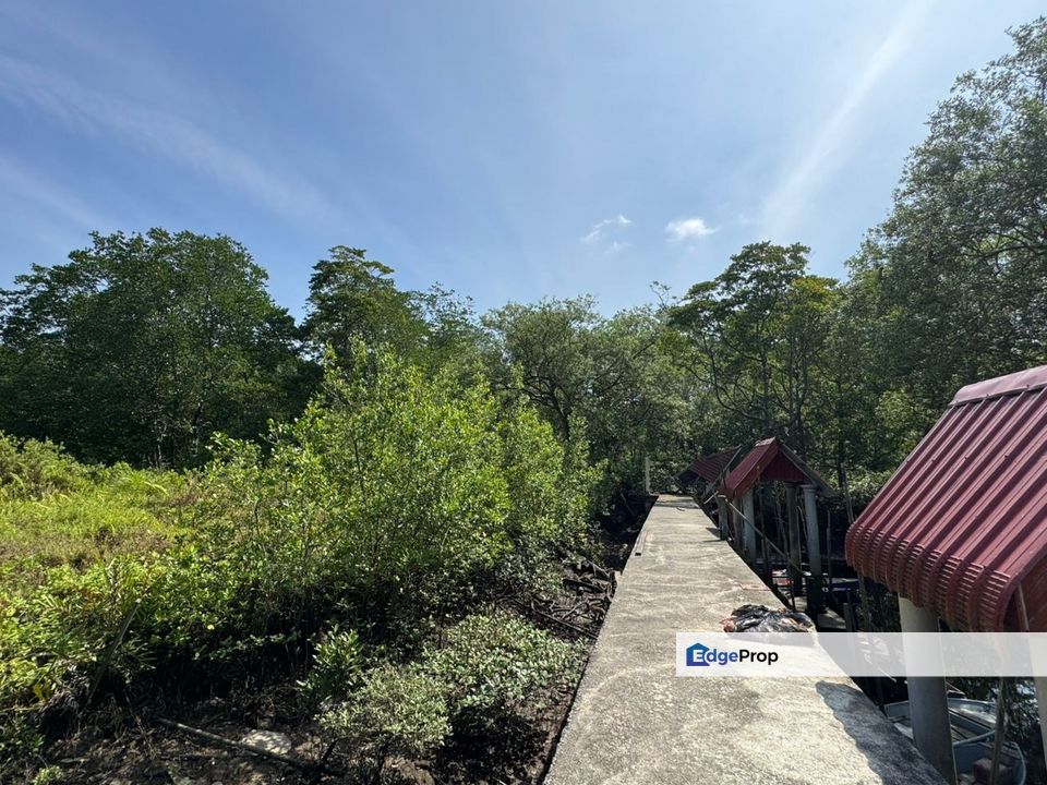 红树林旁唯一一片工业地🏭 适合生态学校、度假村 和 轻工业, Johor, Johor Bahru