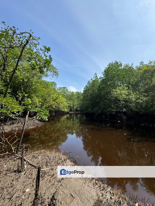 红树林旁唯一一片工业地🏭 适合生态学校、度假村 和 轻工业, Johor, Johor Bahru