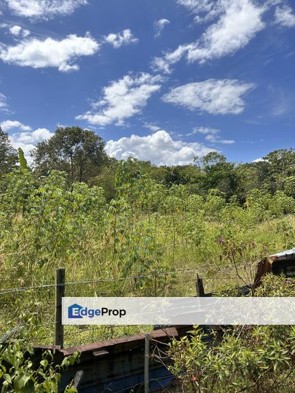 Kg Sg Buaya Rawang Tanah Pertanian Flat Land, Selangor, Serendah