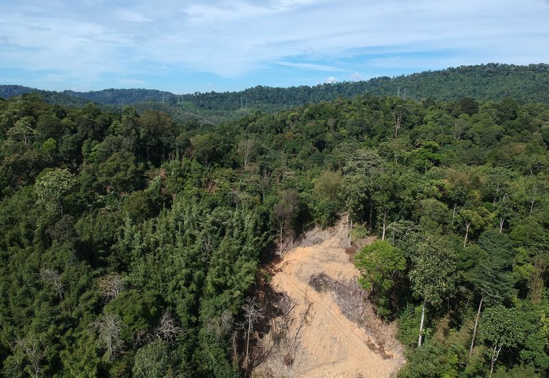 Dusun Tua, Batu 17