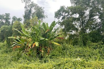 Telok Panglima Garang