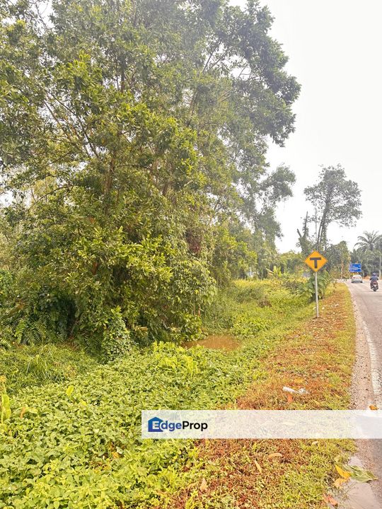 Agriculture Land for Sale 4 Acre, Selangor, Kuala Langat