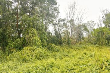 Telok Panglima Garang