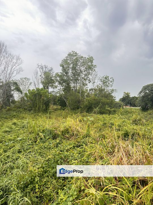 Agriculture Land for Sale 4 Acre, Selangor, Kuala Langat