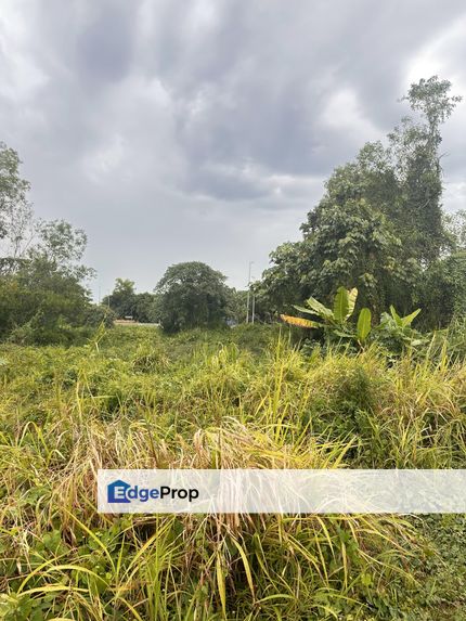 Agriculture Land for Sale 4 Acre, Selangor, Kuala Langat
