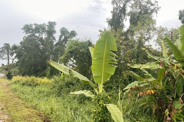 Telok Panglima Garang