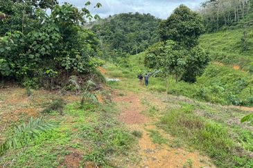 Kg Jenud Raub Tanah Rezab Melayu Kebun Sawit