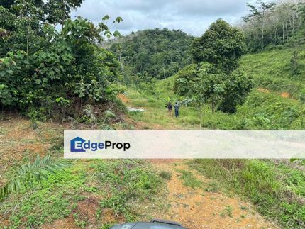 Kg Jenud Raub Tanah Rezab Melayu Kebun Sawit, Pahang, Dong