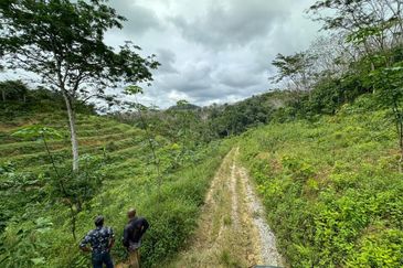 Kg Jenud Raub Tanah Rezab Melayu Kebun Sawit