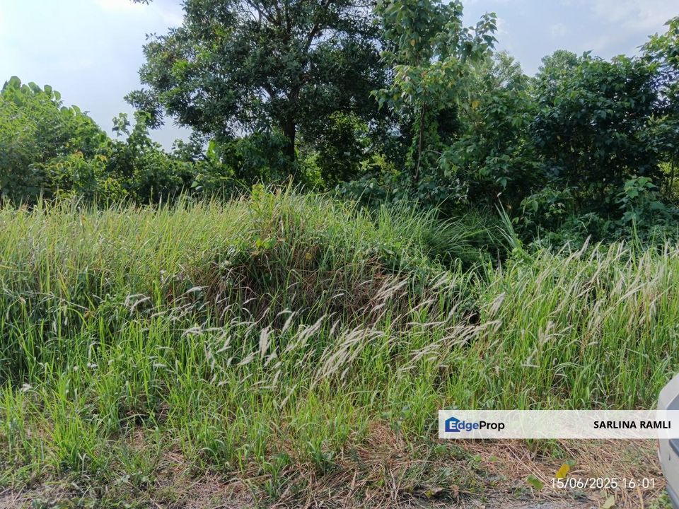 Labu Lanjut Sepang Tanah Lot Banglo Klia, Selangor, Sepang