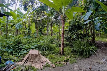 KAMPUNG TERSUSUN CHANGKAT LADA