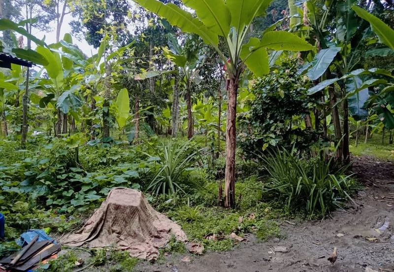 KAMPUNG TERSUSUN CHANGKAT LADA