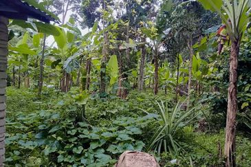 KAMPUNG TERSUSUN CHANGKAT LADA