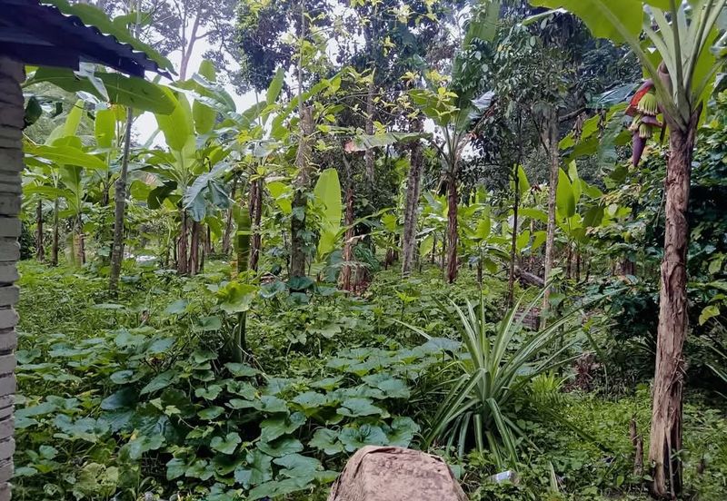 KAMPUNG TERSUSUN CHANGKAT LADA