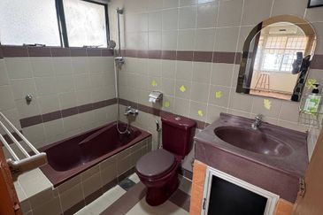 City Garden Orchid Court