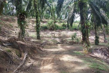 Kampung Sungai Pening