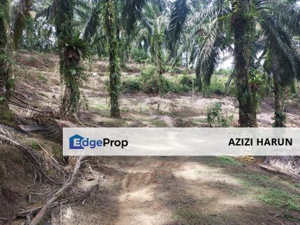 Kampung Sungai Pening Semenyih Agriculture Land For Sale Freehold, Selangor, Semenyih