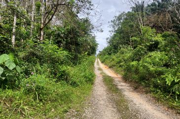 Kampung Sungai Pening