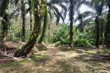 Kampung Sungai Pening