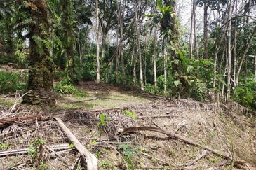 Kampung Sungai Pening