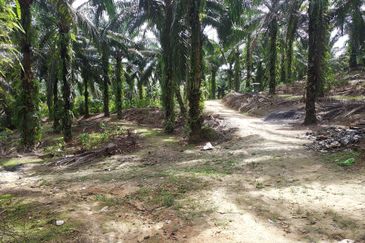 Kampung Sungai Pening