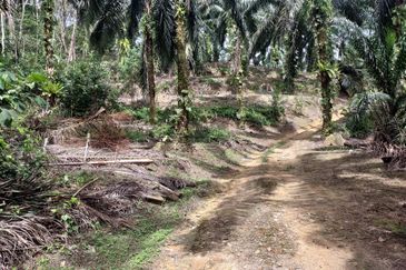 Kampung Sungai Pening