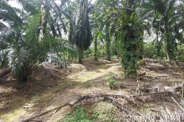 Kampung Sungai Pening