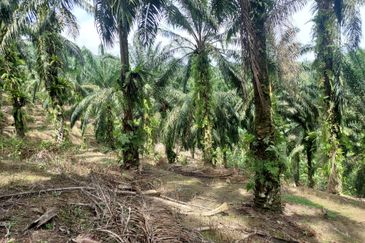 Kampung Sungai Pening