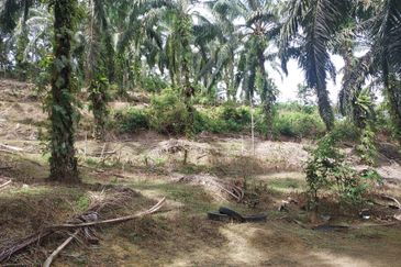 Kampung Sungai Pening