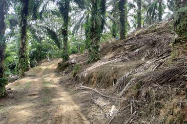 Kampung Sungai Pening