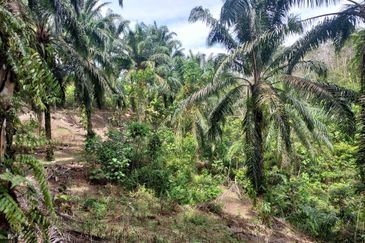 Kampung Sungai Pening