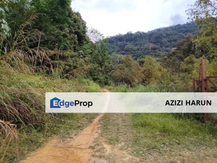 Kalumpang Kerling Hulu selangor Agriculture Land For Sale Freehold, Selangor, Kerling