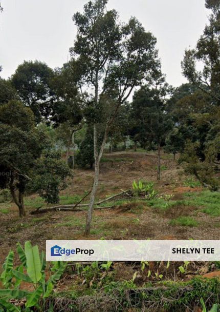 KAMPUNG HULU ROKAN GEMENCHEH AGRICULTURAL LAND FOR SALE FREEHOLD 230 DURIAN TREES, Negeri Sembilan, Tampin