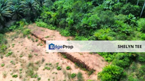 KULAI AGRICULTURAL LAND FOR SALE FREEHOLD RESIDENTIAL ZONING DEVELOPMENT POTENTIAL, Johor, Kulai