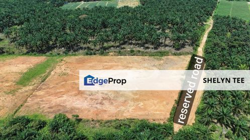 KULAI KELAPA SAWIT AGRICULTURE LAND FOR SALE FREEHOLD INTERNATIONAL NEAR DATA CENTRE, Johor, Kulai