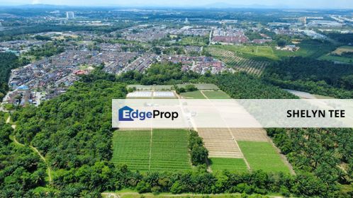 KULAI HOUSING LAND FOR SALE FREEHOLD NON-BUMI NEAR FOON YEW HIGH SCHOOL, Johor, Kulai