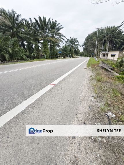 ULU PULAI AGRICULTURAL LAND FOR SALE FREEHOLD FACING MAIN ROAD NEAR GELANG PATAH, Johor, Gelang Patah